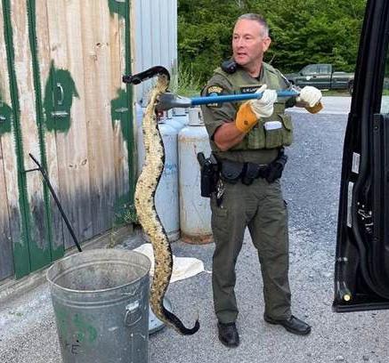 Officer LaPoint with rattlesnake